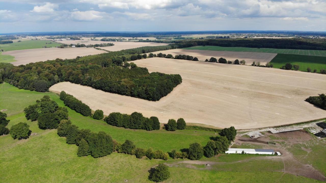 Peenehof Koeppen - Ferienwohnungen & Schlaffaesser Jordenstorf Esterno foto